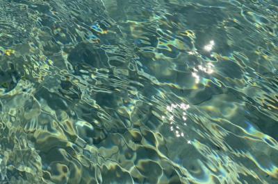 Table dressée avec vaisselle et fleurs bleues près d'une piscine entourée de dalles claires et de végétation.