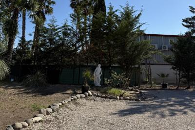 Table dressée avec vaisselle et fleurs bleues près d'une piscine entourée de dalles claires et de végétation.