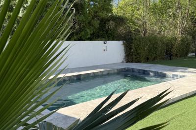 Table dressée avec vaisselle et fleurs bleues près d'une piscine entourée de dalles claires et de végétation.