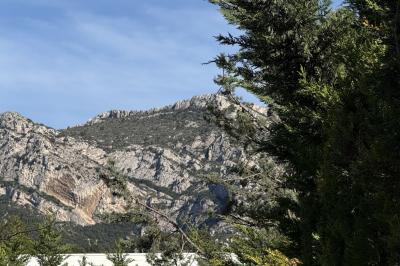 Table dressée avec vaisselle et fleurs bleues près d'une piscine entourée de dalles claires et de végétation.