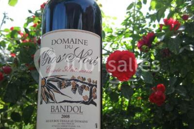 Location salle La Cadière-d'Azur (Var) - Domaine du Gros Noré #8