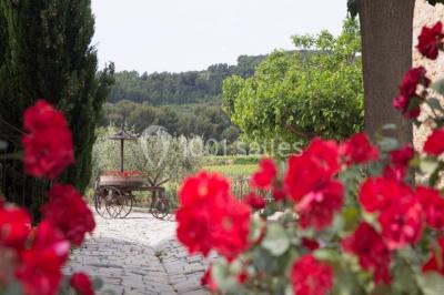 Location salle La Cadière-d'Azur (Var) - Domaine du Gros Noré #18