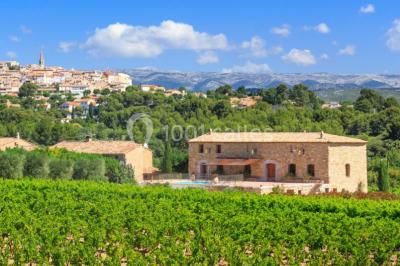 Location salle La Cadière-d'Azur (Var) - Domaine du Gros Noré #18