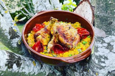 Plat de poulet rôti avec riz safrané, petits pois et tomates, présenté dans un bol posé sur une branche d'arbre.