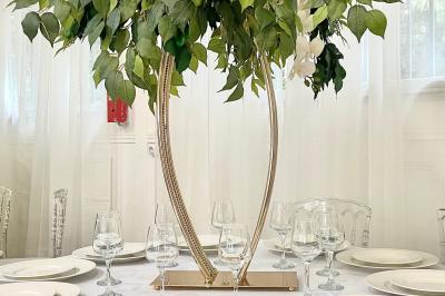 Location salle Le Plessis-Bouchard (Val-d'Oise) - Le Salon Plessis  #16