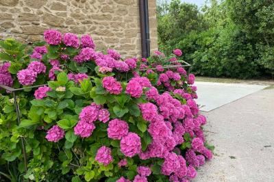 Location salle Sorgues (Vaucluse) - Château de la Serre #25