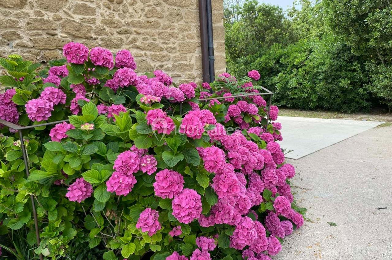 Location salle Sorgues (Vaucluse) - Château de la Serre #24