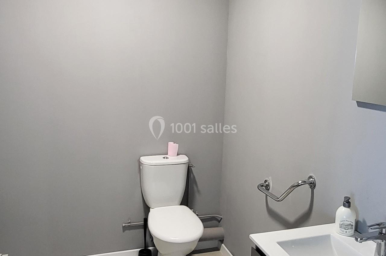 Salle de bain moderne avec toilettes, lavabo suspendu, miroir et murs gris.
