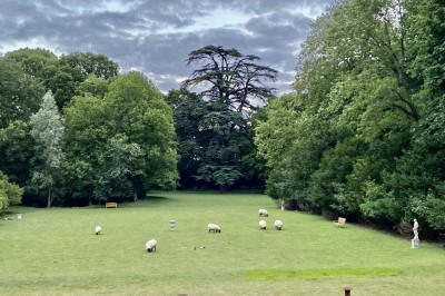 Château éclairé de nuit avec des lumières colorées, entouré de buissons et de tentes blanches sous un ciel nuageux.