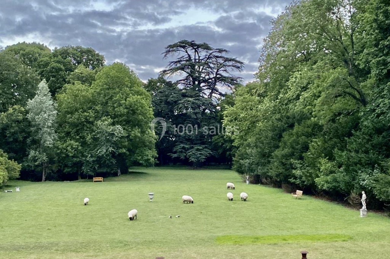 Moutons broutant sur une pelouse entourée d'arbres, sous un ciel nuageux en fin de journée.