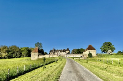 Château éclairé de nuit avec des lumières colorées, entouré de buissons et de tentes blanches sous un ciel nuageux.