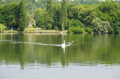 Grande tente éclairée la nuit, entourée de personnes et d'arbres, dans un cadre extérieur sombre.