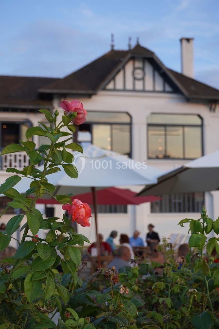 Un rosier en fleurs au premier plan devant une terrasse animée et une maison à colombages en arrière-plan.
