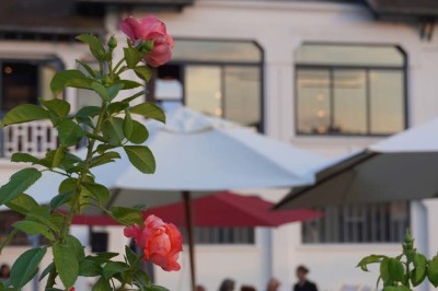 Maquette de voilier avec une grande voile blanche exposée devant un mur bleu orné de cadres et d'une applique murale.