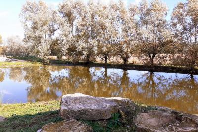 Location salle Sandrans (Ain) - Le Charmay #87