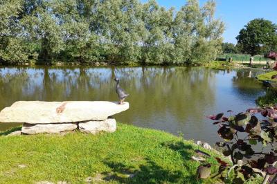 Location salle Sandrans (Ain) - Le Charmay #87