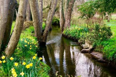 Location salle Saint-Étienne-Roilaye (Oise) - Moulin Royale  #16