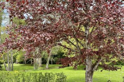 Location salle Saint-Étienne-Roilaye (Oise) - Moulin Royale  #16