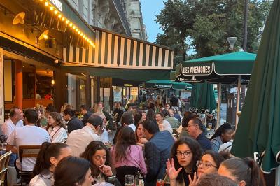 Les Anémones Les Anémones