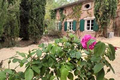 Location salle Saint-Victor-la-Coste (Gard) - Mas des Vignes #40