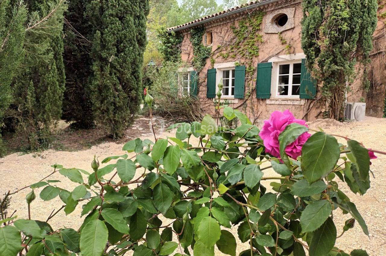Location salle Saint-Victor-la-Coste (Gard) - Mas des Vignes #4