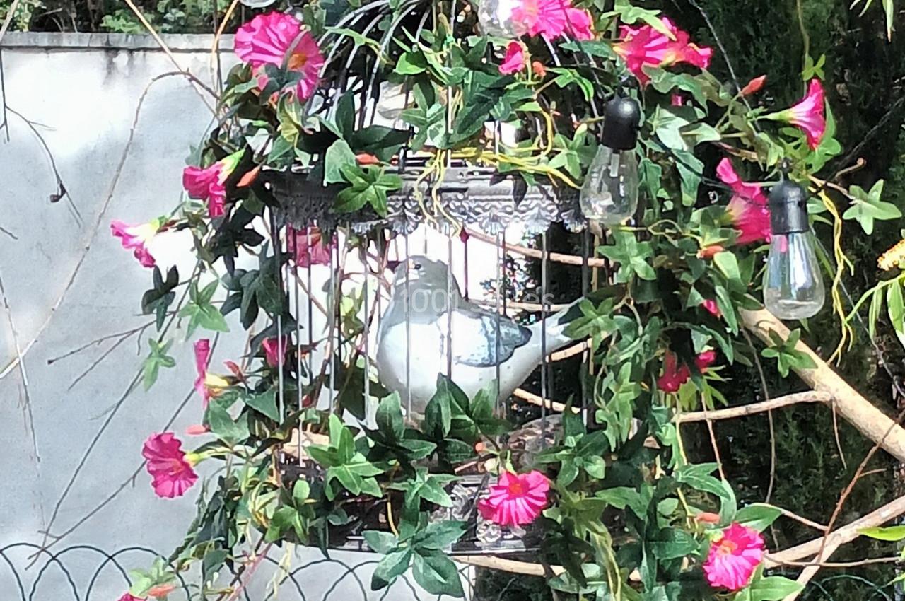 Location salle Saint-Victor-la-Coste (Gard) - Mas des Vignes #27