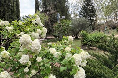 Location salle Saint-Victor-la-Coste (Gard) - Mas des Vignes #40