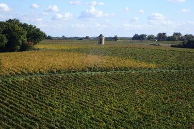 Grande table dressée avec vaisselle et décoration florale dans une salle voûtée avec tonneaux et cuves en arrière-plan.