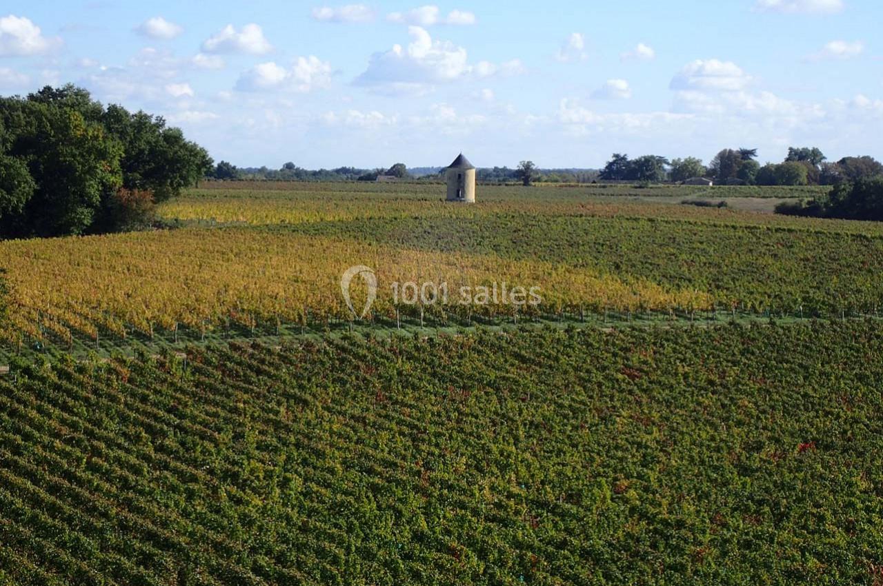 Vignoble verdoyant avec un petit bâtiment en pierre au centre, entouré de champs sous un ciel partiellement nuageux.