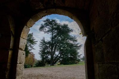 Location salle Baron (Gironde) - Château de Crain #29