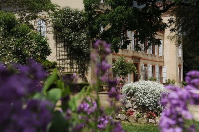 Grande table dressée avec vaisselle élégante, pains individuels et décoration florale, sous une terrasse en bois ouverte sur…