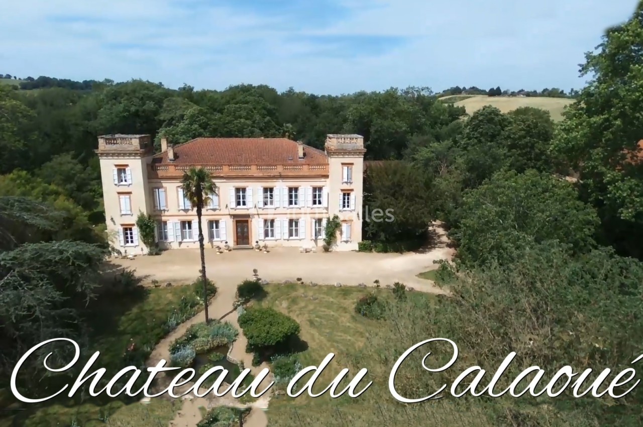 Vue aérienne d'un château entouré de jardins et de végétation, avec une allée menant à l'entrée principale.