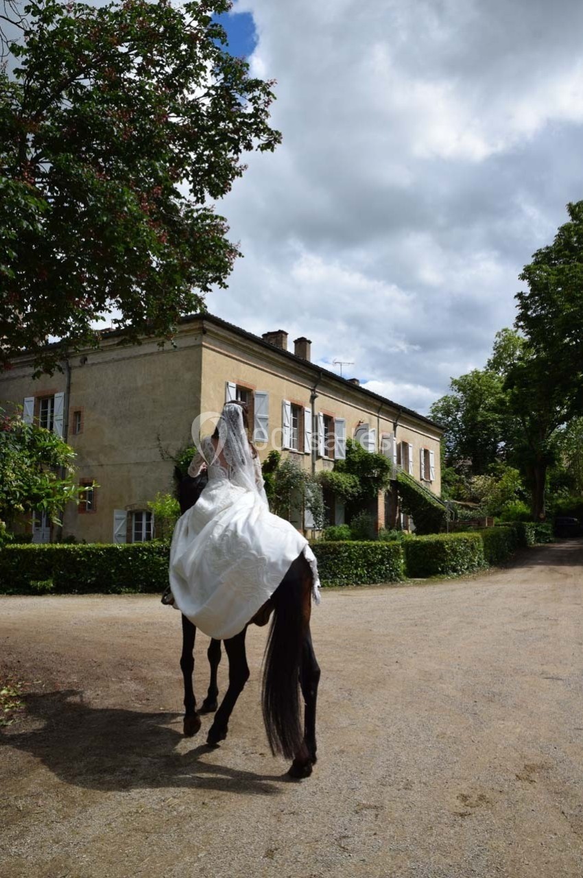 Un cheval noir portant un voile blanc devant une grande maison entourée de verdure, sous un ciel nuageux.