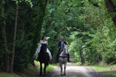 Grande table dressée avec vaisselle élégante, pains individuels et décoration florale, sous une terrasse en bois ouverte sur…