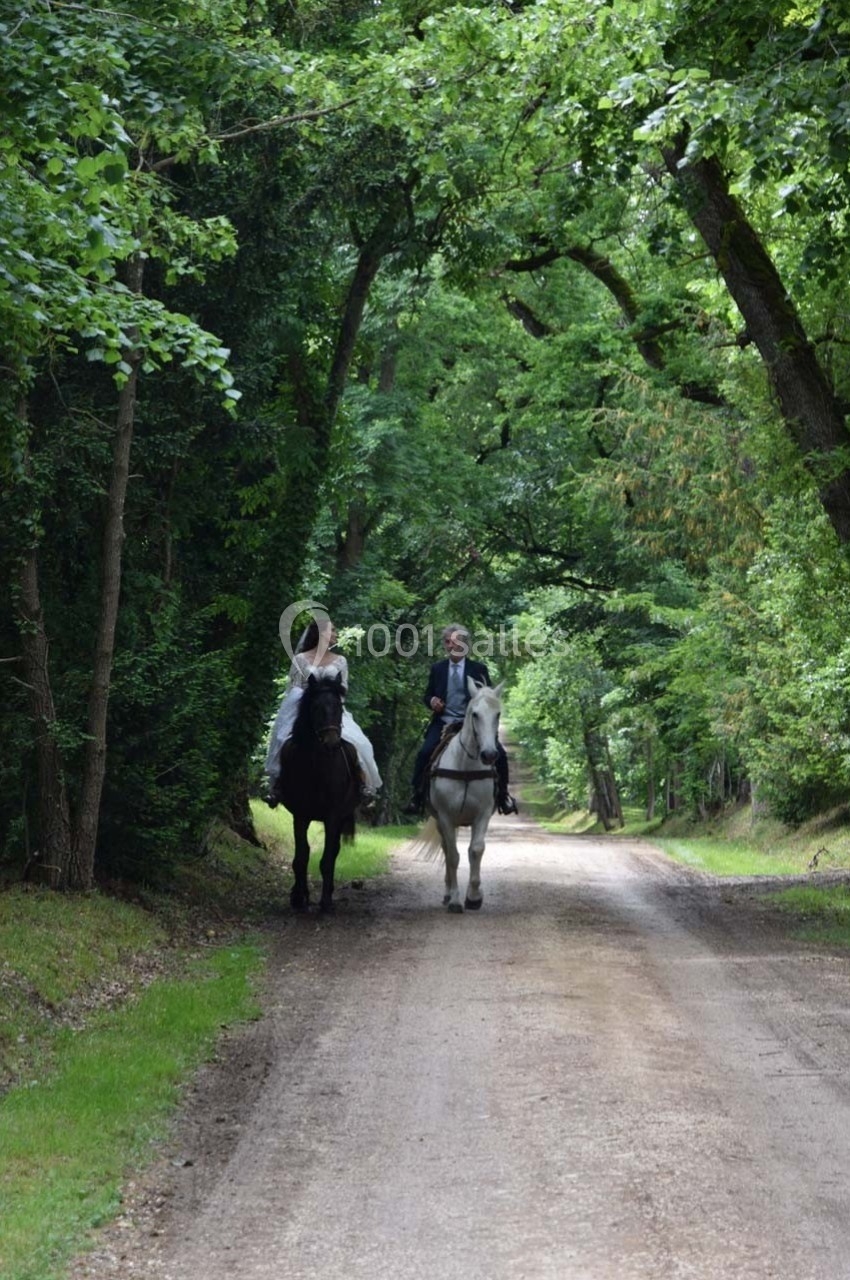 Deux personnes à cheval se promènent sur un chemin forestier bordé d'arbres verdoyants.