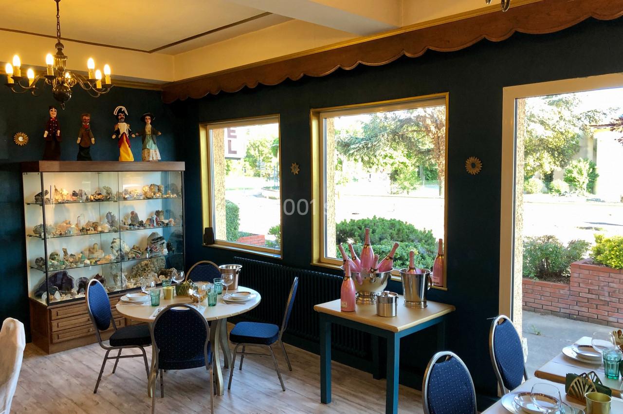 Location salle Villieu-Loyes-Mollon (Ain) - Hôtel Restaurant le Chanel #6