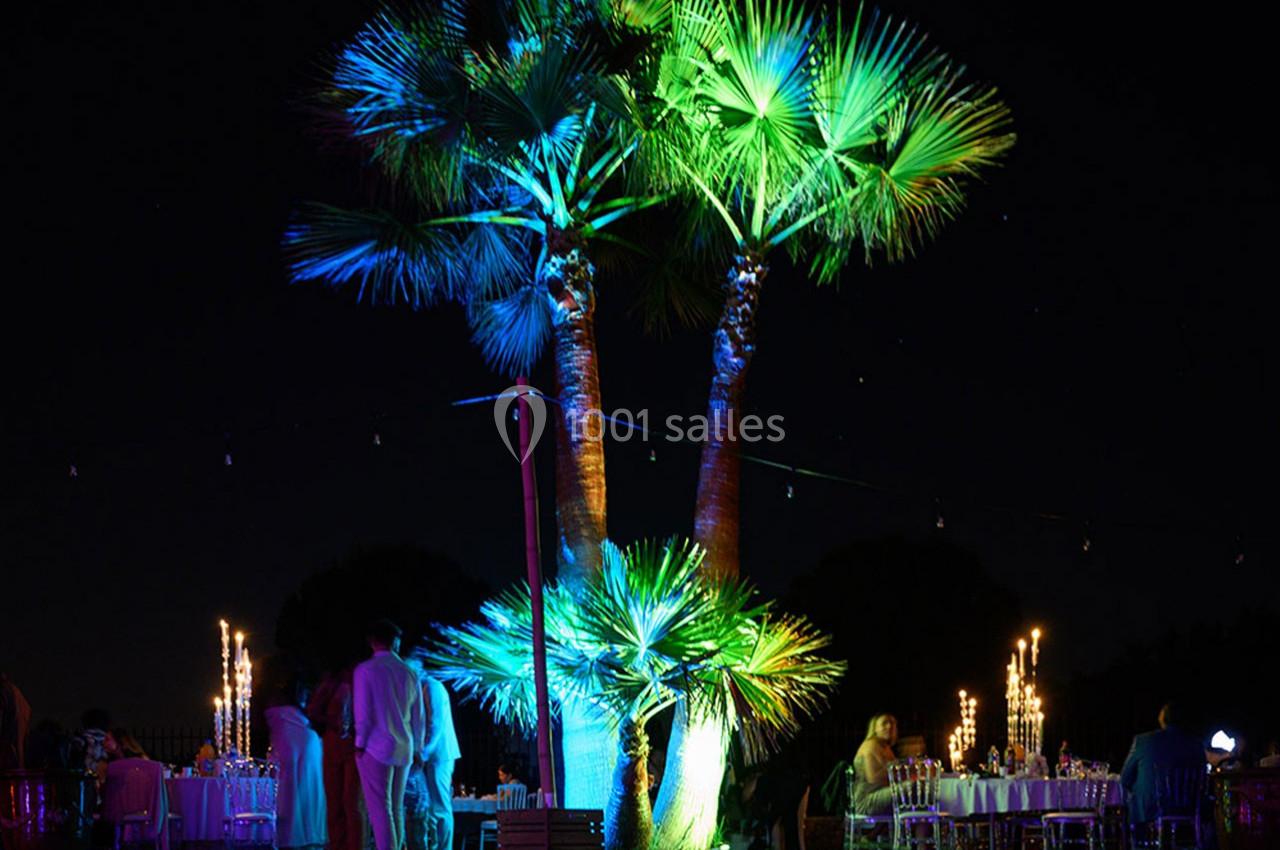 Trois palmiers éclairés par des lumières colorées dans un cadre nocturne avec des tables et des convives en arrière-plan.
