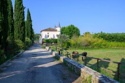 Décoration de table de mariage en extérieur avec chandeliers en verre, fleurs blanches et chaises alignées sur une pelouse.