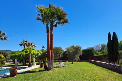 Décoration de table de mariage en extérieur avec chandeliers en verre, fleurs blanches et chaises alignées sur une pelouse.