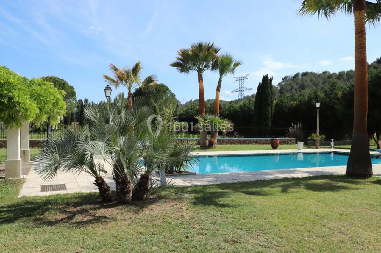 Piscine extérieure entourée de palmiers et de pelouse, avec un ciel dégagé et des collines en arrière-plan.