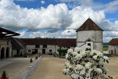 Location salle Wy-dit-Joli-Village (Val-d'Oise) - Château d'Hazeville #37