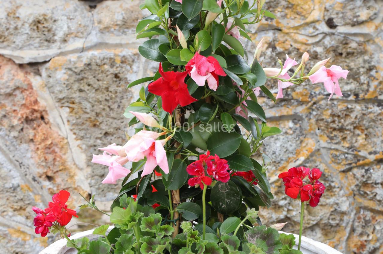 Location salle Wy-dit-Joli-Village (Val-d'Oise) - Château d'Hazeville #4