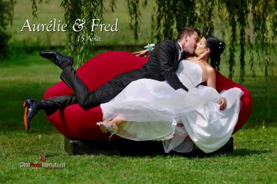 Une mariée en robe blanche regarde vers le sol, entourée d'un paysage enneigé et d'arbres en arrière-plan.