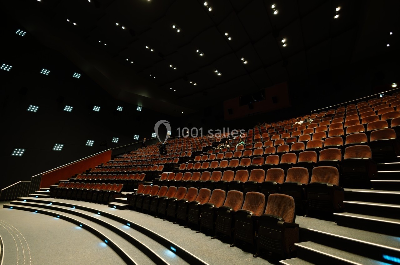 Location salle Pontgibaud (Puy-de-Dôme) - Vulcania #2