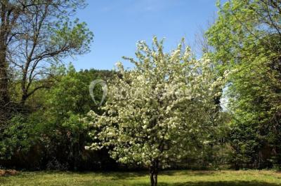 Table élégamment dressée avec chandeliers, verres, bouteilles de vin et serviettes pliées dans un cadre chaleureux.
