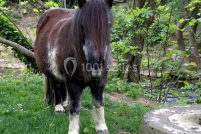 Table élégamment dressée avec chandeliers, verres, bouteilles de vin et serviettes pliées dans un cadre chaleureux.