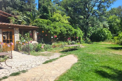 Un poney brun avec une longue crinière se tient sur une pelouse verte près d'arbres et d'un ruisseau.