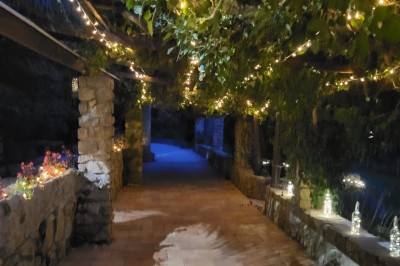 Un poney brun avec une longue crinière se tient sur une pelouse verte près d'arbres et d'un ruisseau.