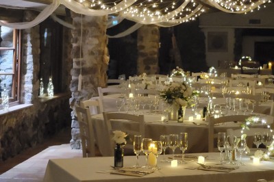 Un poney brun avec une longue crinière se tient sur une pelouse verte près d'arbres et d'un ruisseau.