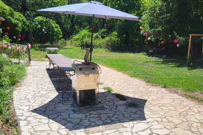 Un poney brun avec une longue crinière se tient sur une pelouse verte près d'arbres et d'un ruisseau.